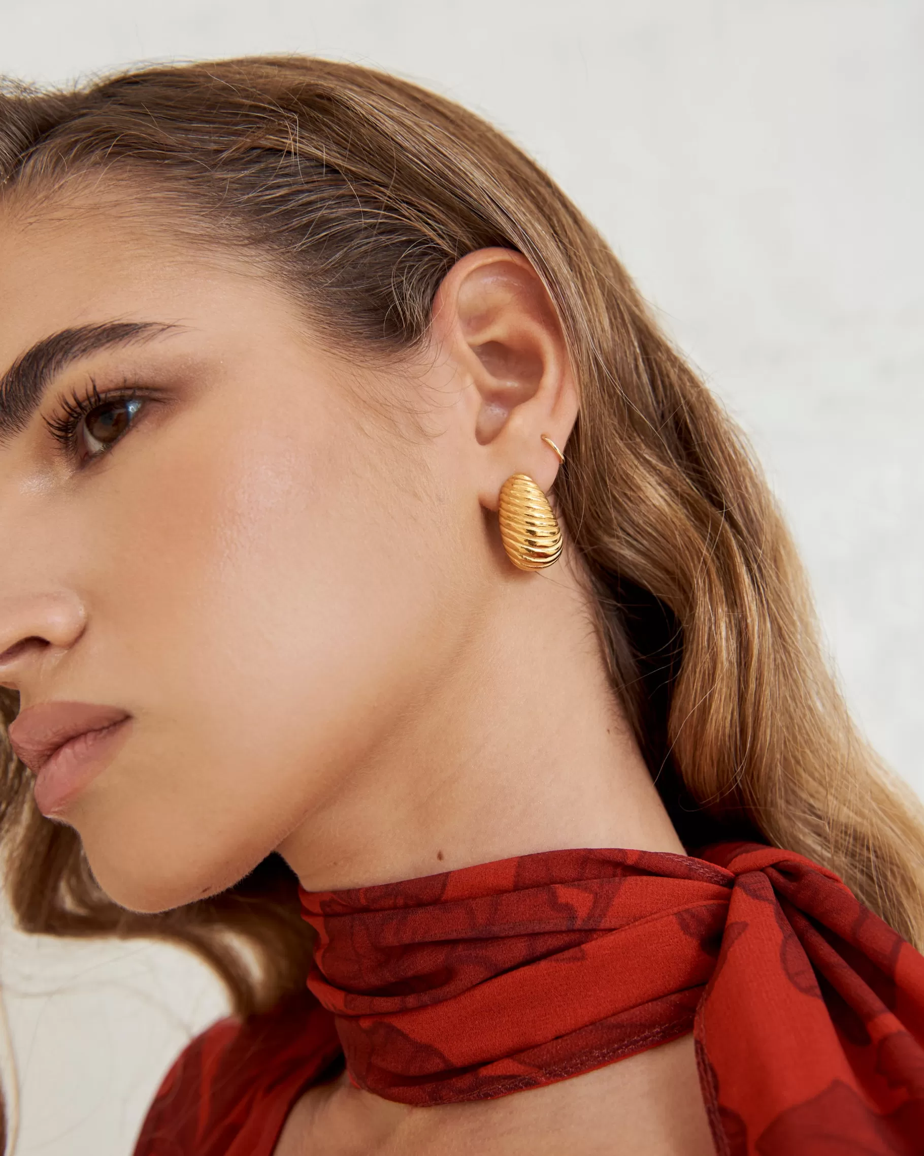 Lady Pipa Jewelry | Semi-hoop Relief Earrings