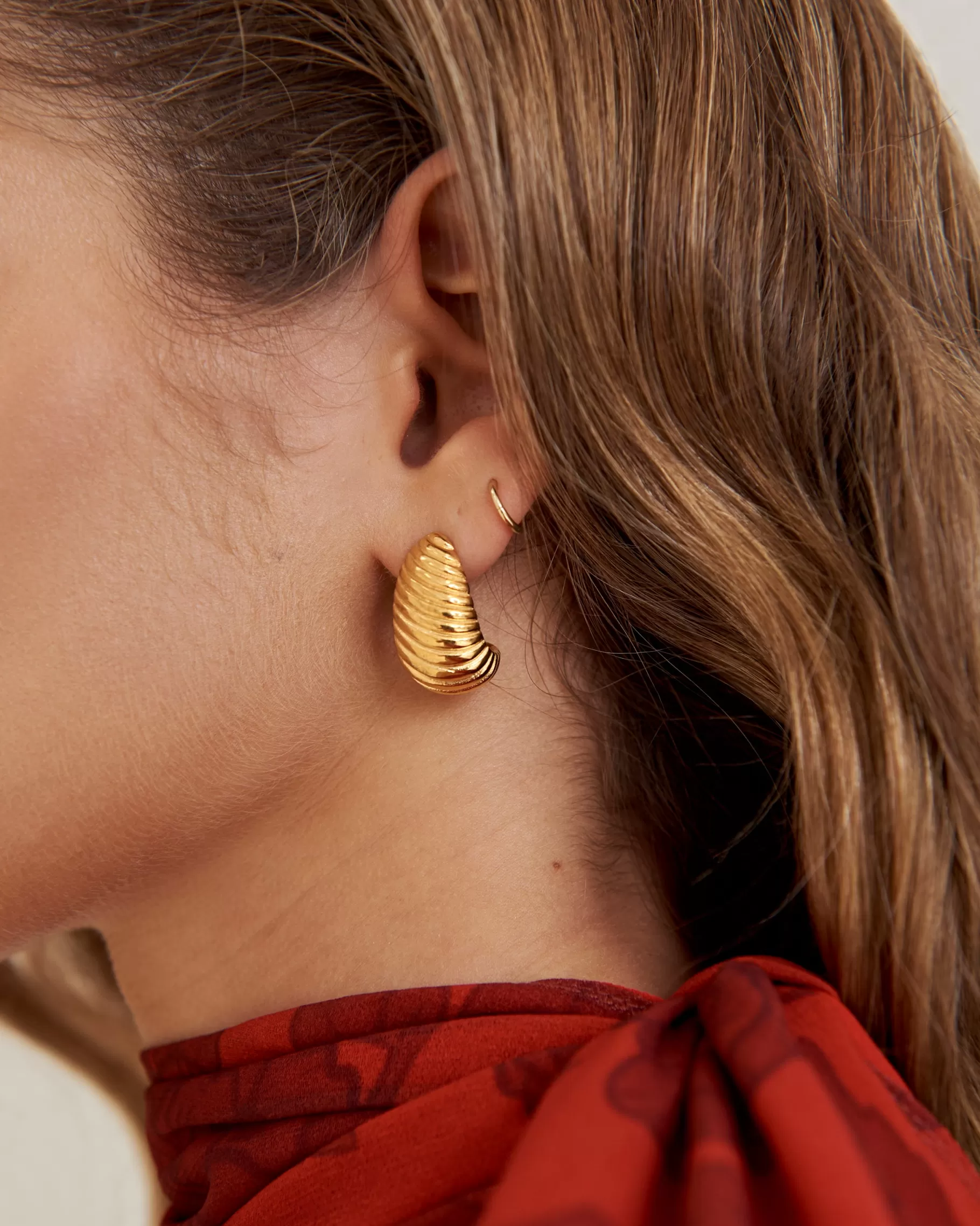 Lady Pipa Jewelry | Semi-hoop Relief Earrings